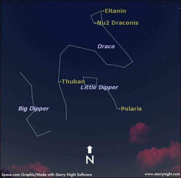 See the Celestial Dragon